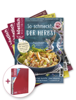 Classic-Abo für 1 Jahr mit Sammel-Box